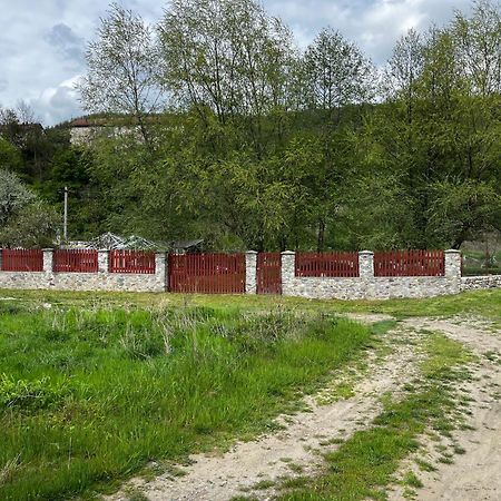 فندق La Gradina Mehadija المظهر الخارجي الصورة
