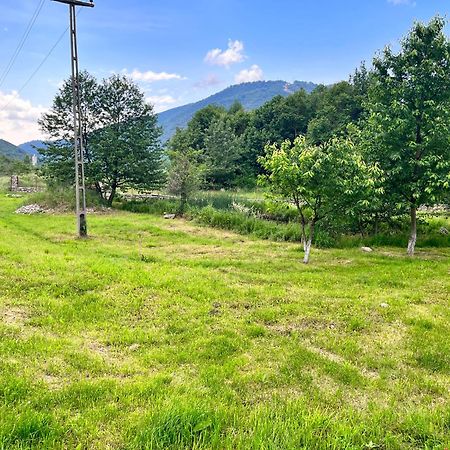 فندق La Gradina Mehadija المظهر الخارجي الصورة