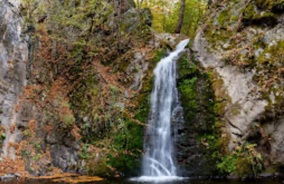 فندق La Gradina Mehadija المظهر الخارجي الصورة