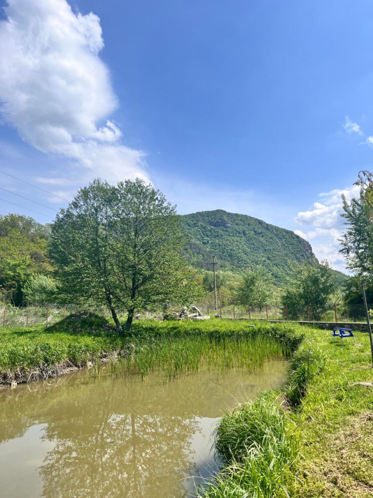 فندق La Gradina Mehadija المظهر الخارجي الصورة