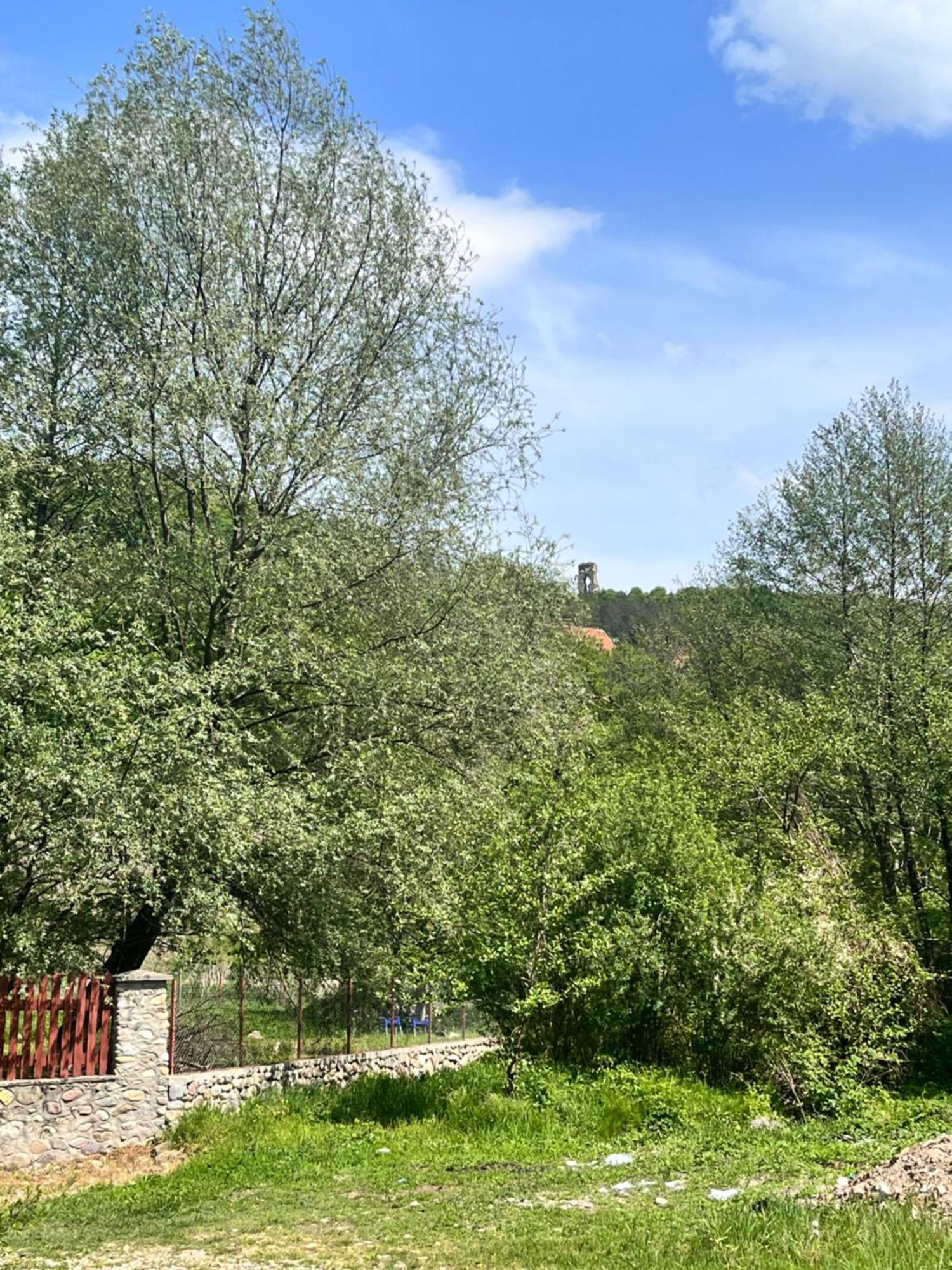 فندق La Gradina Mehadija المظهر الخارجي الصورة
