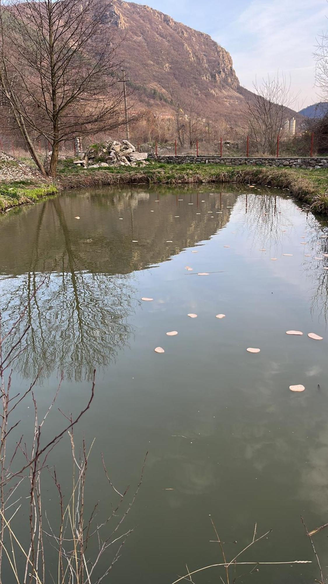 فندق La Gradina Mehadija المظهر الخارجي الصورة